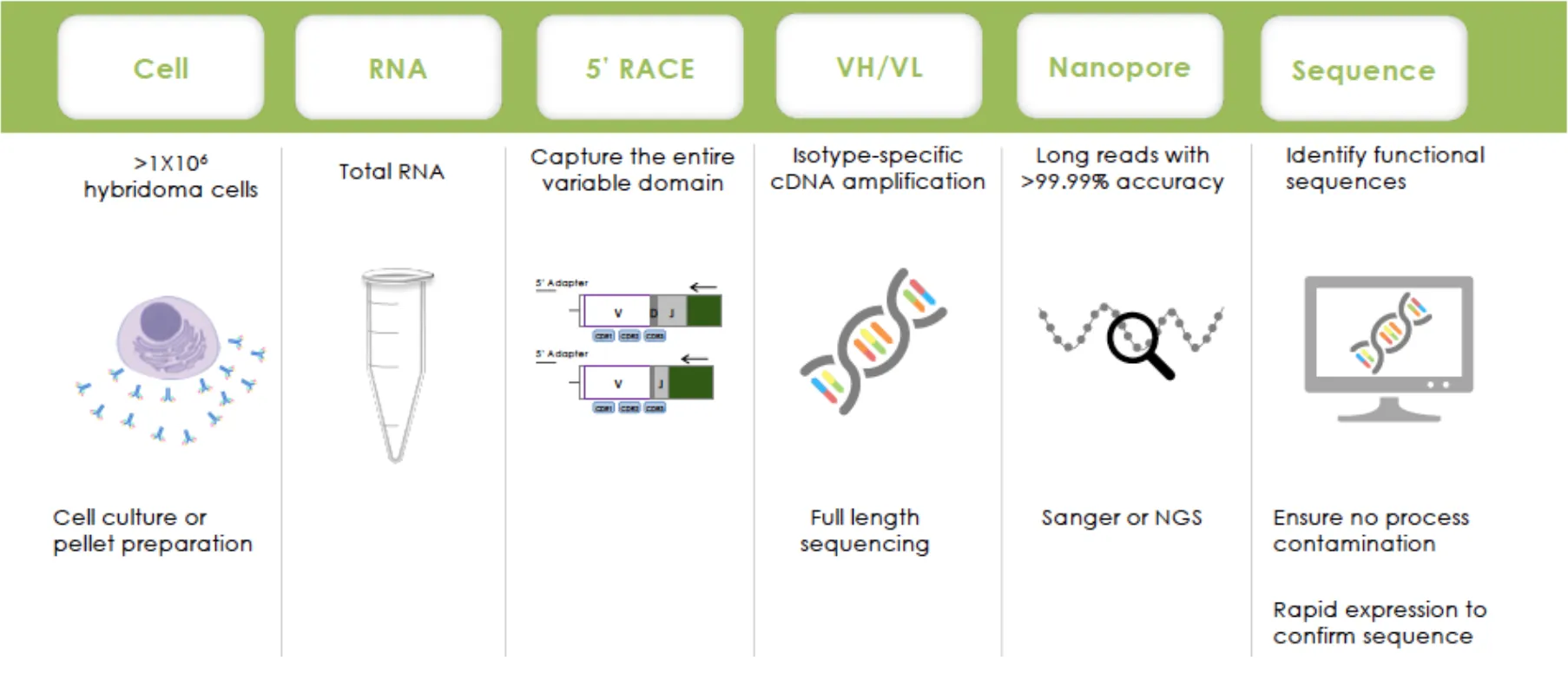 antibody-sequencing-img